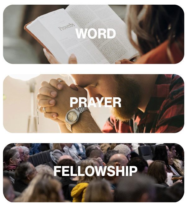 Habits of Grace