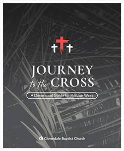 Preview of Journey to the Cross