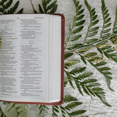 Bible